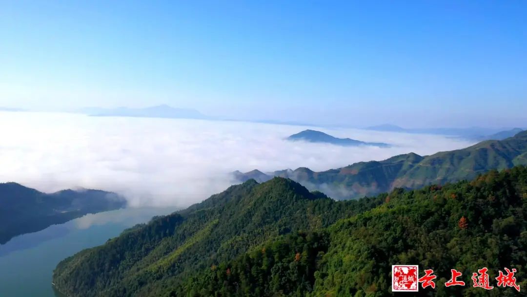 喜訊！咸寧多了一個(gè)“中國(guó)天然氧吧”